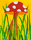 Pilz im Gras 05